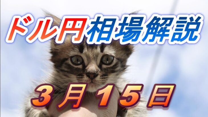 【TAKA FX】ドル円為替相場の前日の動きをチャートから解説。日経平均、NYダウ、金チャートも。3月15日
