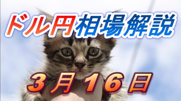 【TAKA FX】ドル円為替相場の前日の動きをチャートから解説。日経平均、NYダウ、金チャートも。3月16日