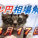 【TAKA FX】ドル円為替相場の前日の動きをチャートから解説。日経平均、NYダウ、金チャートも。3月17日