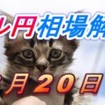 【TAKA FX】ドル円為替相場の今週の動きと来週の展望をチャートから解説。日経平均、NYダウ、金チャートも。3月20日～