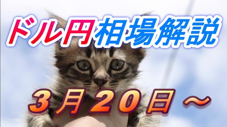 【TAKA FX】ドル円為替相場の今週の動きと来週の展望をチャートから解説。日経平均、NYダウ、金チャートも。3月20日～