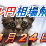 【TAKA FX】ドル円為替相場の前日の動きをチャートから解説。日経平均、NYダウ、金チャートも。3月24日