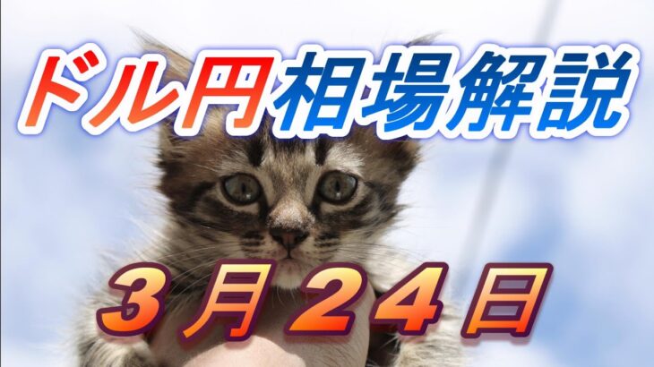 【TAKA FX】ドル円為替相場の前日の動きをチャートから解説。日経平均、NYダウ、金チャートも。3月24日