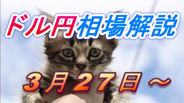 【TAKA FX】ドル円為替相場の今週の動きと来週の展望をチャートから解説。日経平均、NYダウ、金チャートも。3月27日～