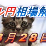 【TAKA FX】ドル円為替相場の前日の動きをチャートから解説。日経平均、NYダウ、金チャートも。3月28日