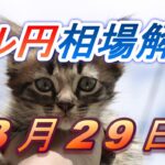 【TAKA FX】ドル円為替相場の前日の動きをチャートから解説。日経平均、NYダウ、金チャートも。3月29日