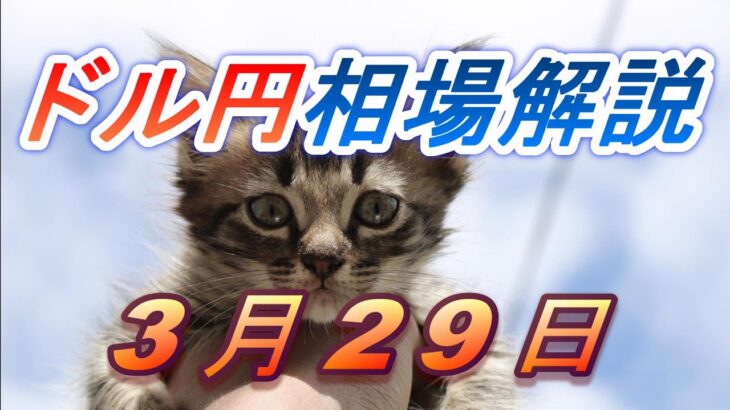 【TAKA FX】ドル円為替相場の前日の動きをチャートから解説。日経平均、NYダウ、金チャートも。3月29日