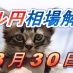 【TAKA FX】ドル円為替相場の前日の動きをチャートから解説。日経平均、NYダウ、金チャートも。3月30日