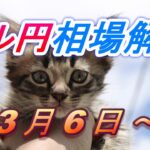 【TAKA FX】ドル円為替相場の今週の動きと来週の展望をチャートから解説。日経平均、NYダウ、金チャートも。3月6日～
