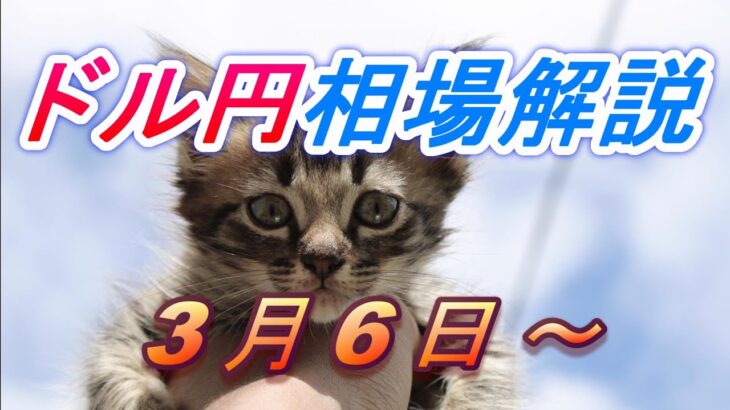 【TAKA FX】ドル円為替相場の今週の動きと来週の展望をチャートから解説。日経平均、NYダウ、金チャートも。3月6日～