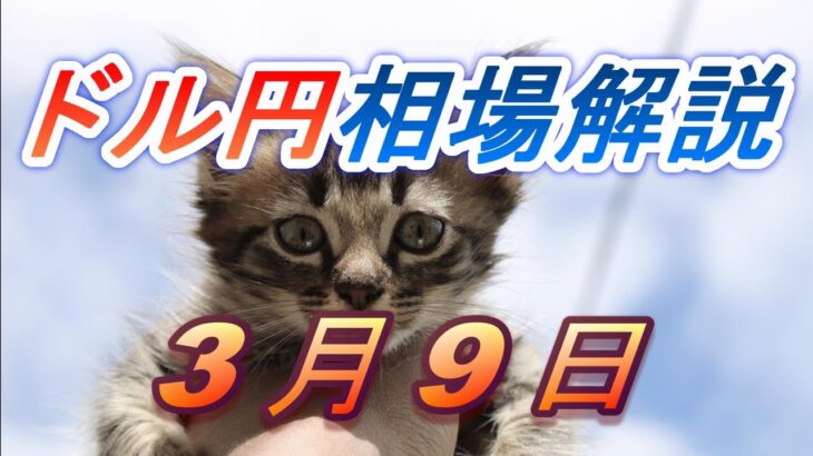 【TAKA FX】ドル円為替相場の前日の動きをチャートから解説。日経平均、NYダウ、金チャートも。3月9日