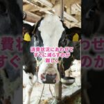 【税金】牛乳大量放棄、税金では輸入？ #shorts