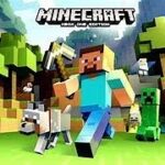 【マイクラ】ブランチマイニング