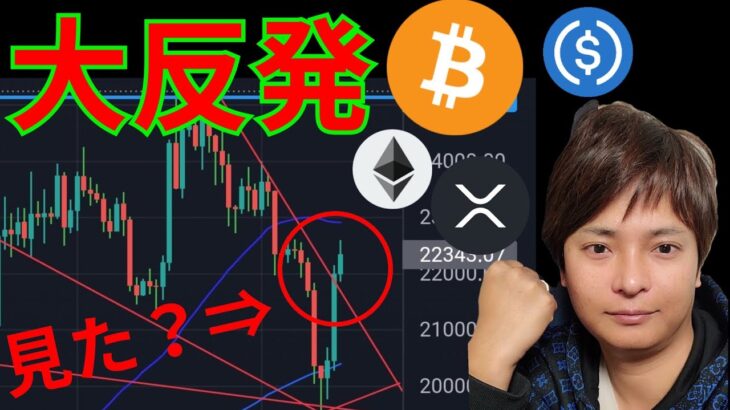 見た？銀行破綻でも仮想通貨が大反発の理由。