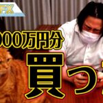 株を８０００万円分、買いました。