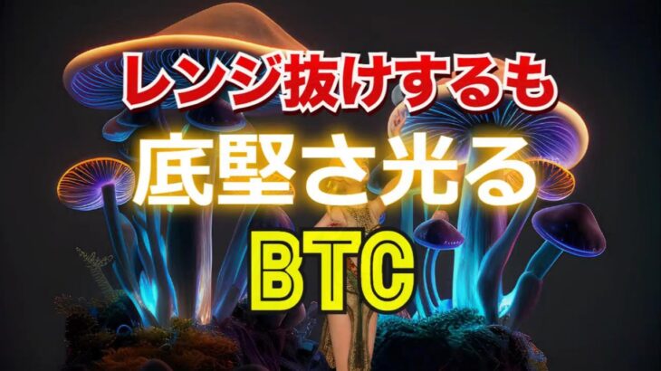 レンジ抜けするも底堅さ光るビットコイン