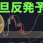 【ビットコイン】一旦ベアトラで反発予想！w 逆三尊から締めのブルトラが高確率？レッドピル教室「FIRE・資産形成節税・子育ての国選び」