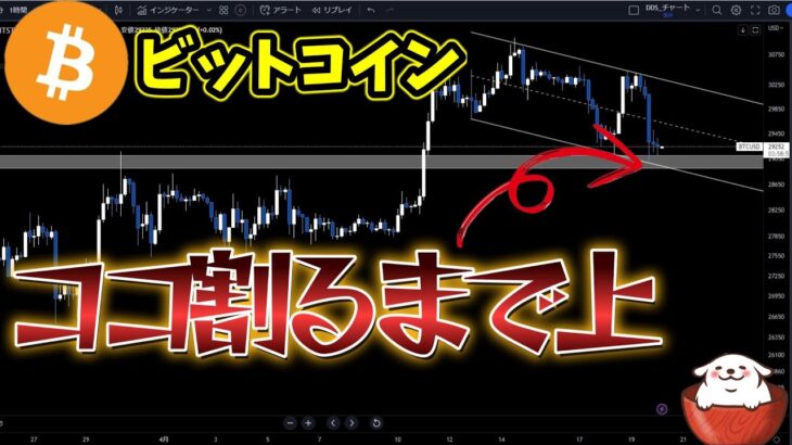【仮想通貨 ビットコイン】ココを耐えれないとマズイ。。。今後の買い場、戦略と最新の相場分析（朝活配信1085日目 毎日相場をチェックするだけで勝率アップ）【暗号資産 Crypto】