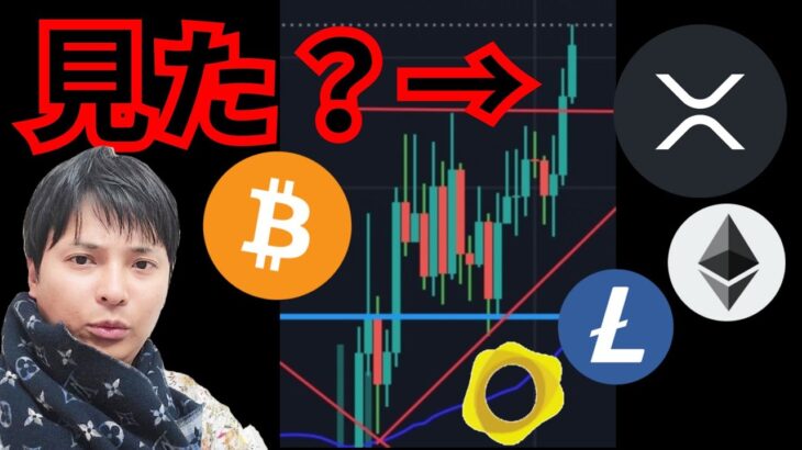 【見た？】今強いアルトコイン2つ。リップルは？　仮想通貨 BTC ETH XRP LTC PAXG ビットコイン イーサリアム ライトコイン 暗号資産
