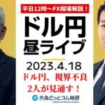 ドル/円は視界不良、2人が示す見通しは？【FX・為替市場の振り返り、今日の見通しをライブ解説】2023/4/18