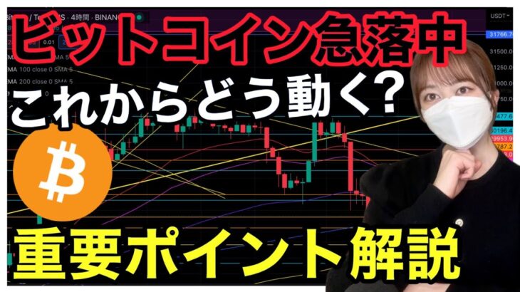 【BTC重要ポイント解説】急落中。これからどう動く？ ビットコインテクニカル分析 仮想通貨