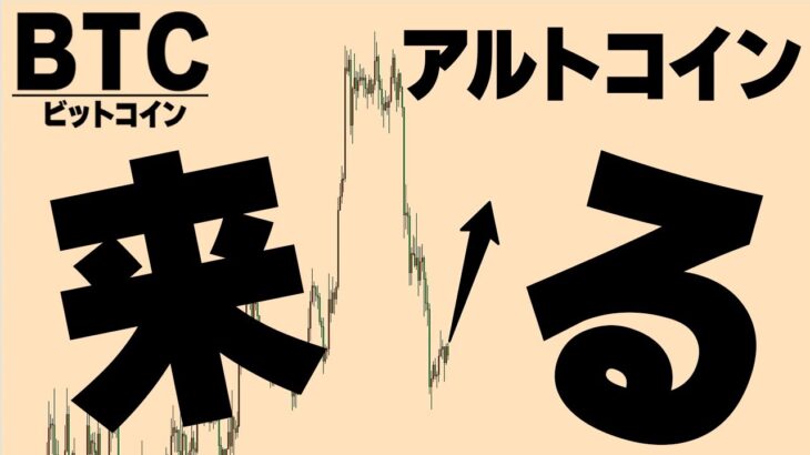 アルトのターンが来る根拠をお話しします【仮想通貨ビットコイン/BTC】