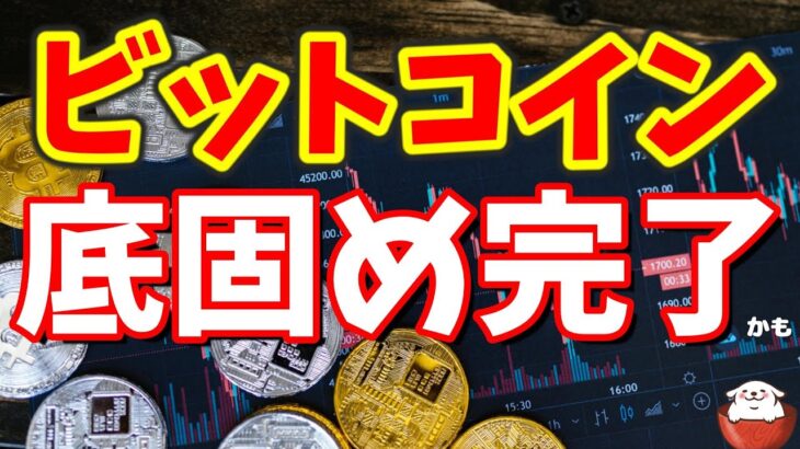 【仮想通貨 ビットコイン】BTCに追い風！米企業のハイテク決算が予想を上回り急騰（朝活配信1091日目 毎日相場をチェックするだけで勝率アップ）【暗号資産 Crypto】