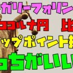 FX ハンガリーフォリント円 チェココルナ円 比較 スワップポイント投資どっちがいい