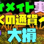 FX マイメイト 実績 大損の通貨ペアが多い