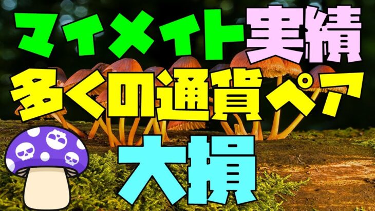 FX マイメイト 実績 大損の通貨ペアが多い