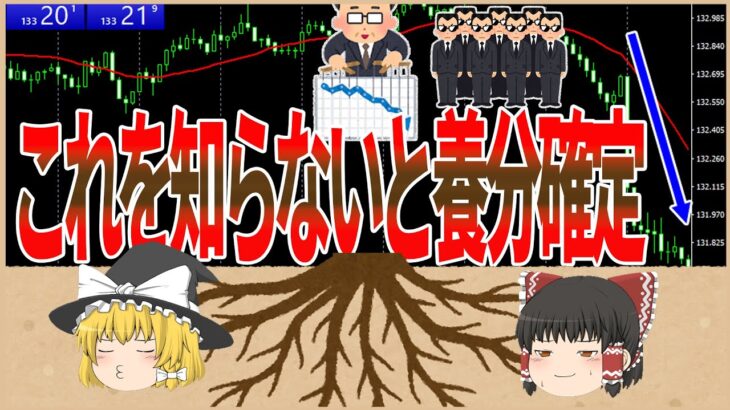 【FX闇暴露】あなたの知らない世界！？相場を操って稼ぎ続ける人たち