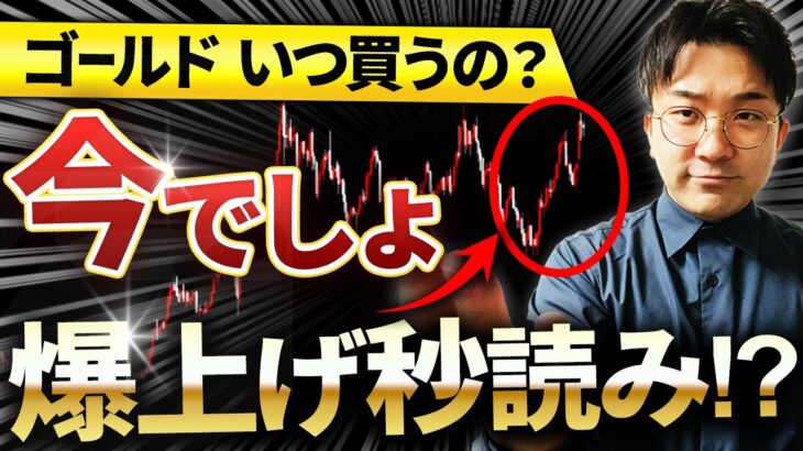 【FX】今が押し目買いのタイミング！4月中にゴールドが急騰する理由をプロが解説