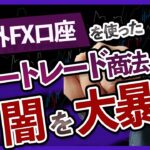【危険】海外FX口座を使ったコピートレード商法の99％が当てはまる詐欺手口！プロが暴露します【注意喚起】