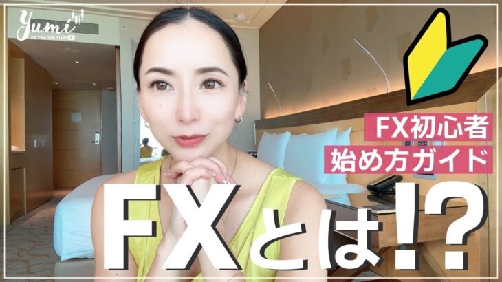 FX初心者🔰始め方ガイド‼︎FXとは⁉︎🇸🇬