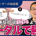 【FX】大事なのはpipsよりもトータルで勝つ