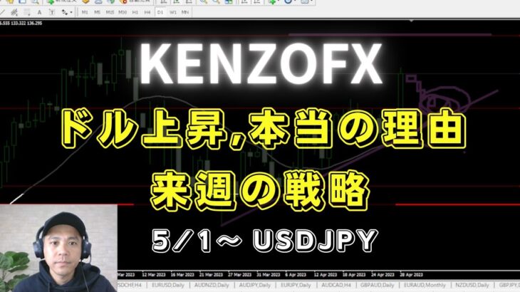 【KENZOFX】ドル爆上げ、真の理由とは？来週のトレード戦略 ドル円の最新の動きを分析 2023年5月1日～　 #fx初心者 #環境認識 #ドル円予想