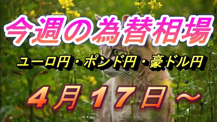 【TAKA FX】ユーロ円、ポンド円、豪ドル円の今週の為替相場の動きと来週の展望をチャートから解説。4月17日～