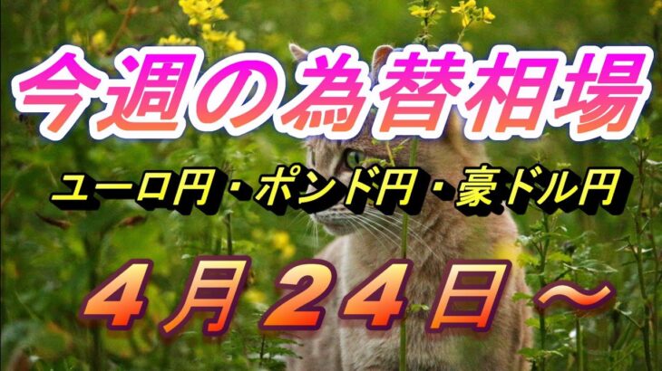 【TAKA FX】ユーロ円、ポンド円、豪ドル円の今週の為替相場の動きと来週の展望をチャートから解説。4月22日～