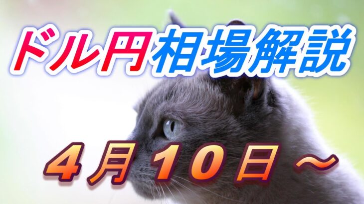 【TAKA FX】ドル円為替相場の今週の動きと来週の展望をチャートから解説。日経平均、NYダウ、金チャートも。4月10日～