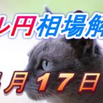 【TAKA FX】ドル円為替相場の今週の動きと来週の展望をチャートから解説。日経平均、NYダウ、金チャートも。4月17日～