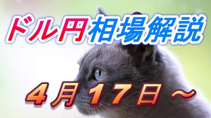 【TAKA FX】ドル円為替相場の今週の動きと来週の展望をチャートから解説。日経平均、NYダウ、金チャートも。4月17日～