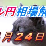 【TAKA FX】ドル円為替相場の今週の動きと来週の展望をチャートから解説。日経平均、NYダウ、金チャートも。4月24日～
