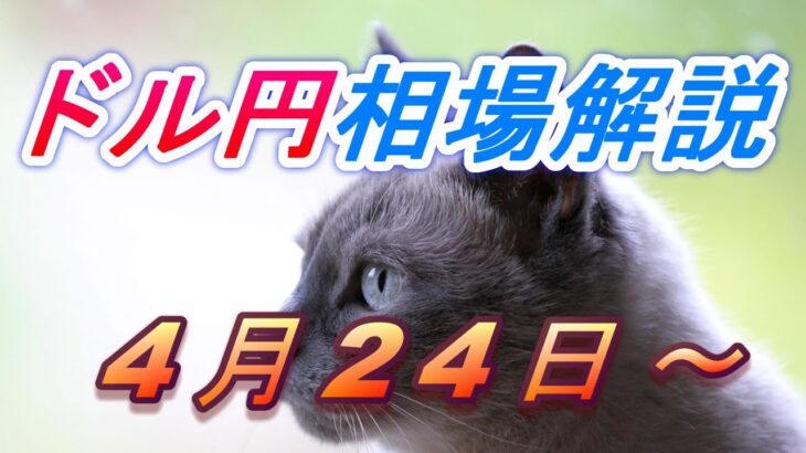 【TAKA FX】ドル円為替相場の今週の動きと来週の展望をチャートから解説。日経平均、NYダウ、金チャートも。4月24日～