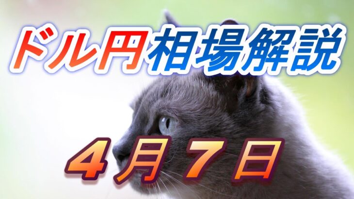 【TAKA FX】ドル円為替相場の前日の動きをチャートから解説。日経平均、NYダウ、金チャートも。4月7日