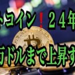 【仮想通貨リップルXRP情報局】ビットコイン！！２４年末に○○万ドルまで上昇する⁈