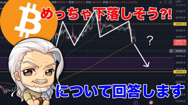 ビットコイン下落しそうに見える？！この先どうなる？