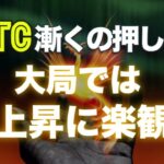 ビットコインに漸くの押し目。大局では上昇に楽観。