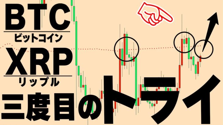 リップルは100円を超えると280円の可能性【仮想通貨ビットコイン/BTC,XRP】