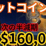 【超重要】ビットコイン、次の半減期に16万ドル(約2,000万円)の理由 【仮想通貨BTC】
