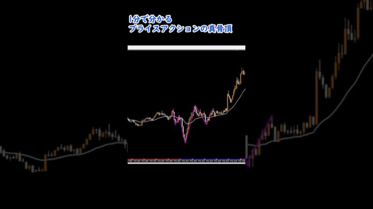 1分で分かるプライスアクションの真骨頂#FX #FX手法 #投資 #FX初心者 #shorts